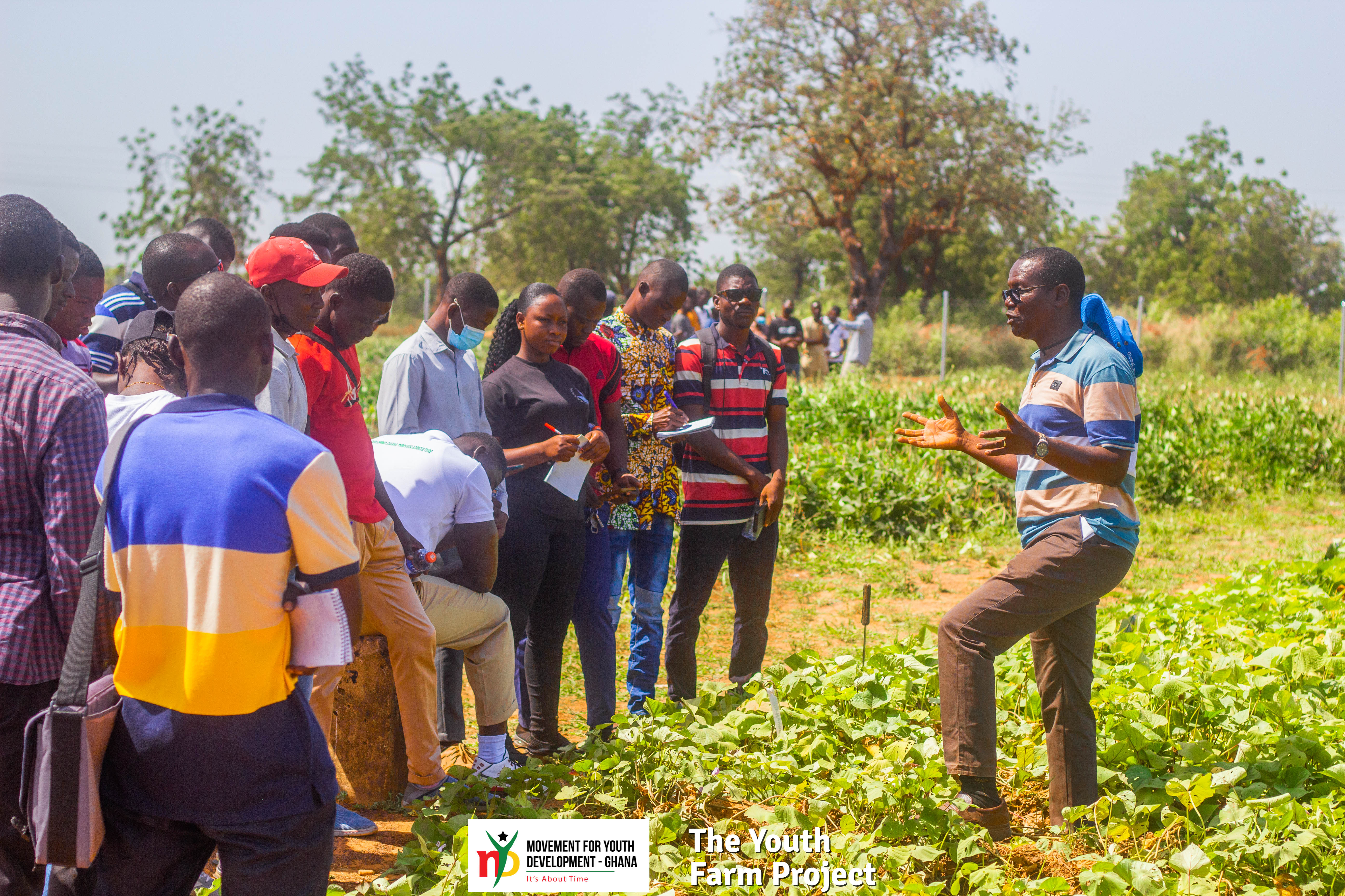 Youth Farm Project